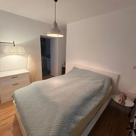 Geraeumiges 2-raum-apartment Mit Loggia 莱比锡