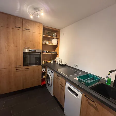 Geraeumiges 2-raum-apartment Mit Loggia 莱比锡